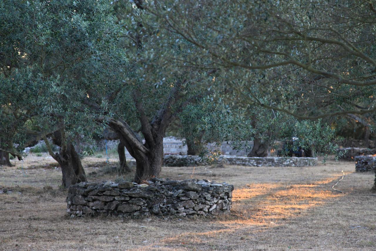 A Loghja Di Cavallo Morto โบนิฟาซิโอ ภายนอก รูปภาพ